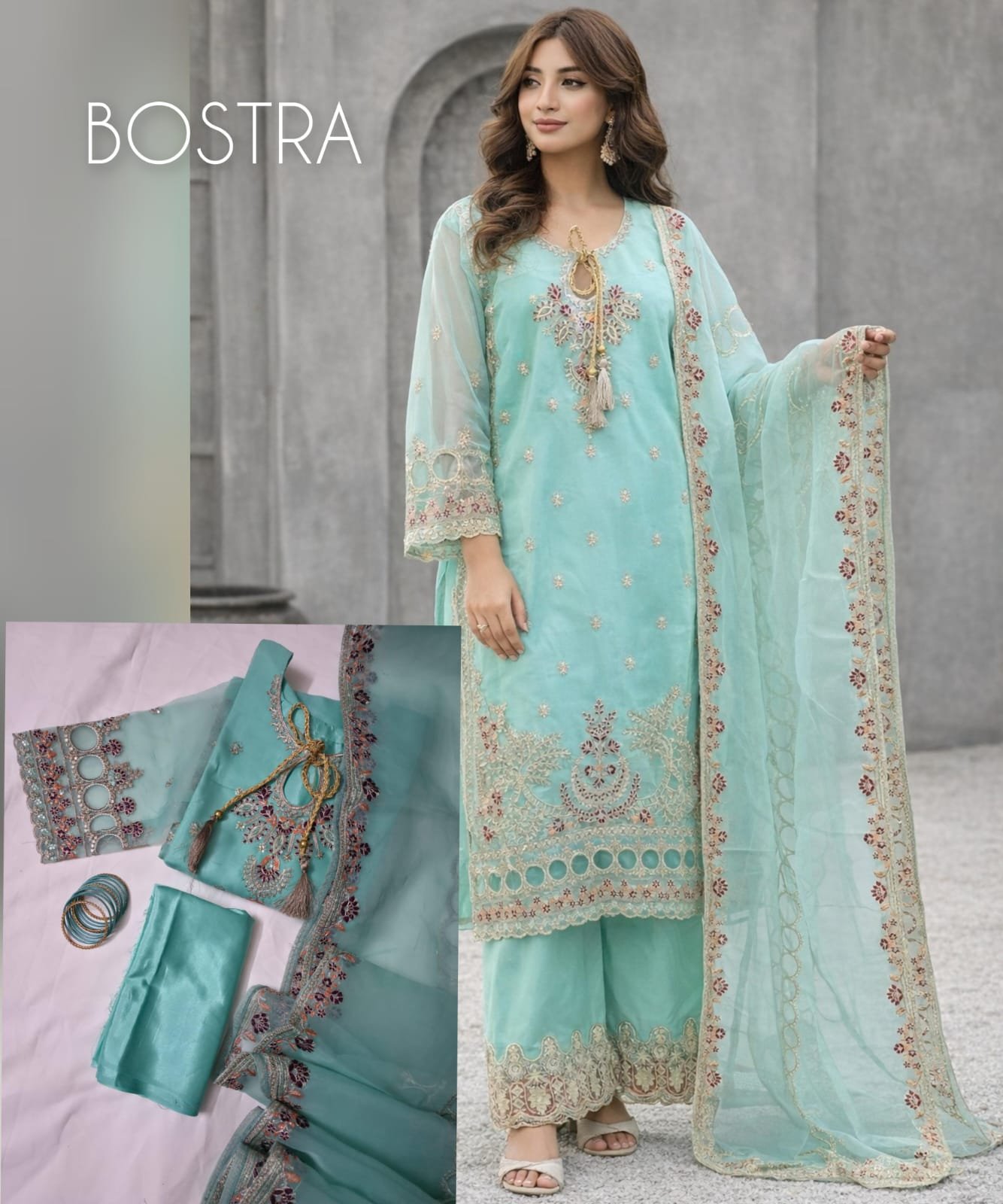 Organza with Embroidery and Zari work 205